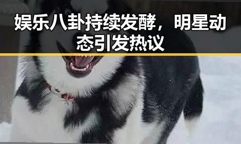 娱乐八卦持续发酵，明星动态引发热议