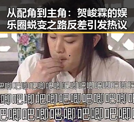 从配角到主角：贺峻霖的娱乐圈蜕变之路反差引发热议
